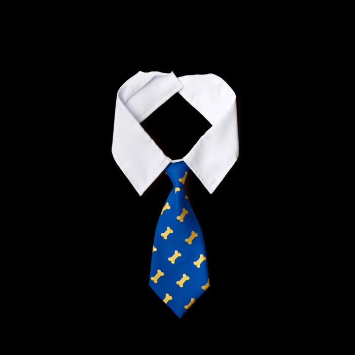 Bone Print Necktie thumbnail 2