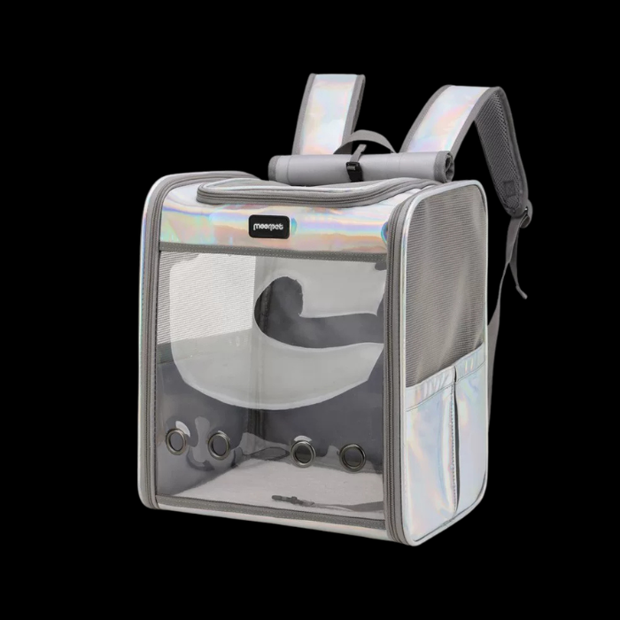 Clear Display Backpack