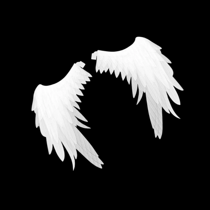 Eclipse Feathered Fantasy Cosplay Wings thumbnail 2
