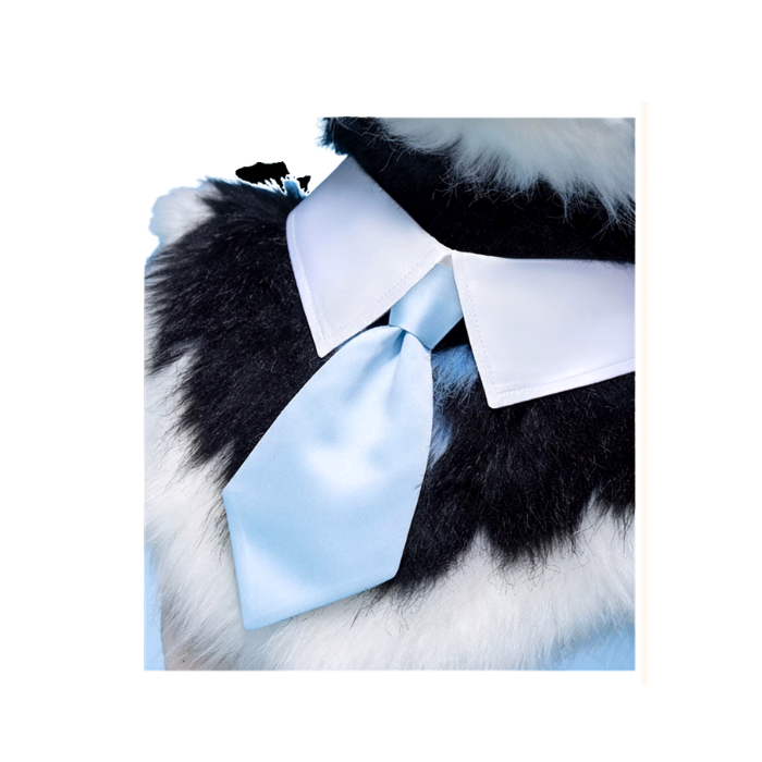Formal Tuxedo Collar & Tie Set thumbnail 3