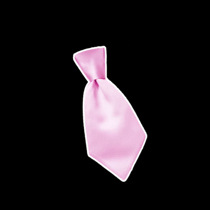 Formal Tuxedo Collar & Tie Set thumbnail 7