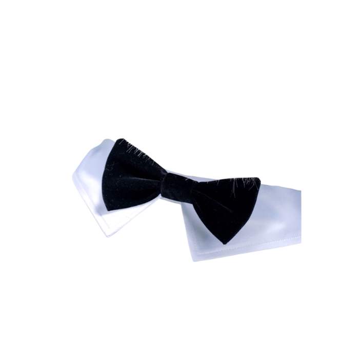 Formal Tuxedo Collar & Tie Set thumbnail 9