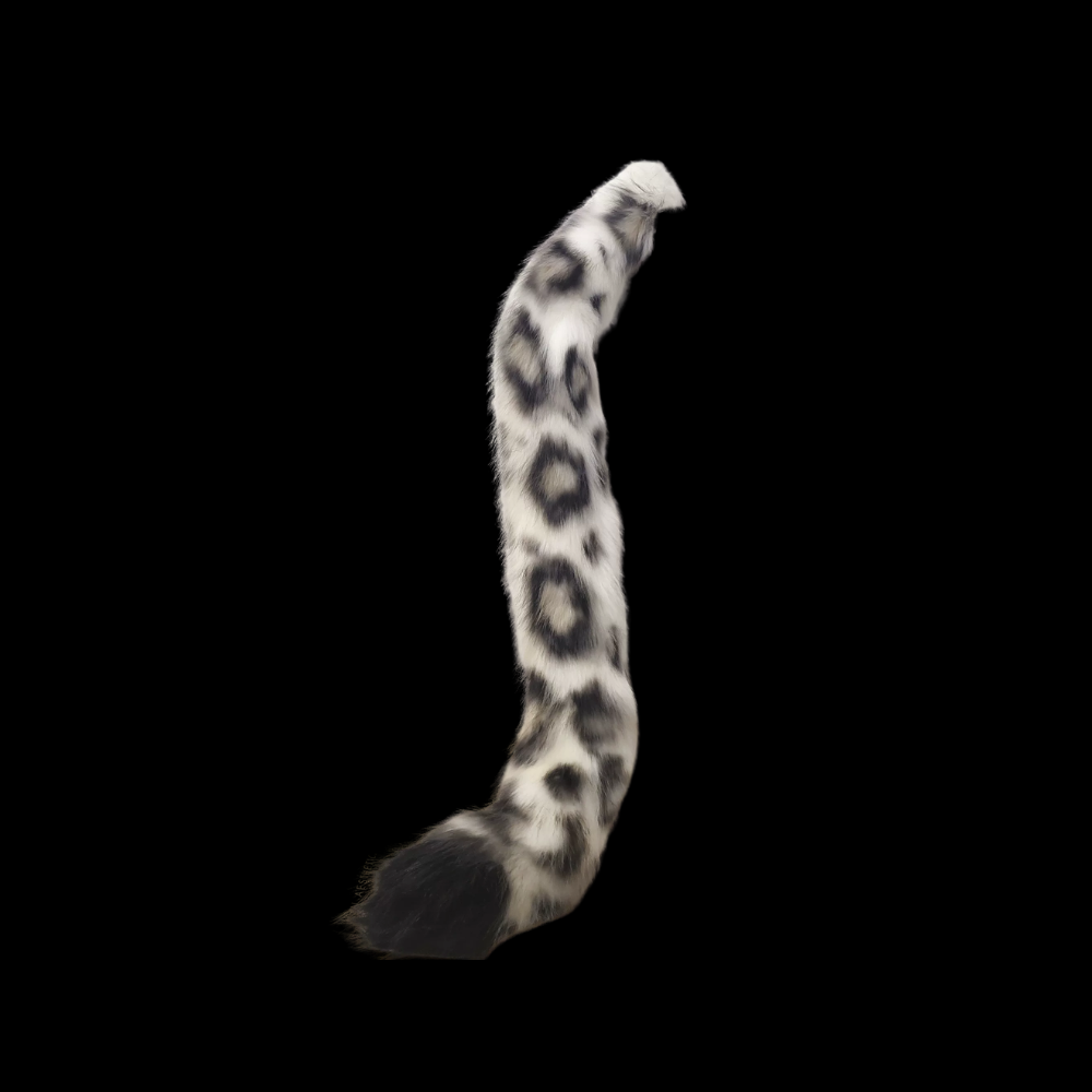 Frostveil Snow Leopard Kemono Ears & Tail Set thumbnail 3