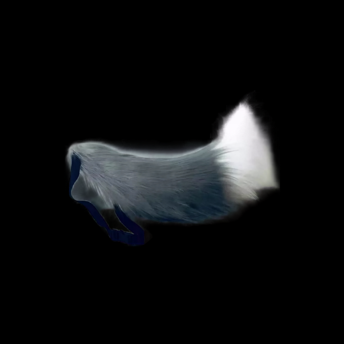 Moonlit Fluffy Fox Tail thumbnail 10