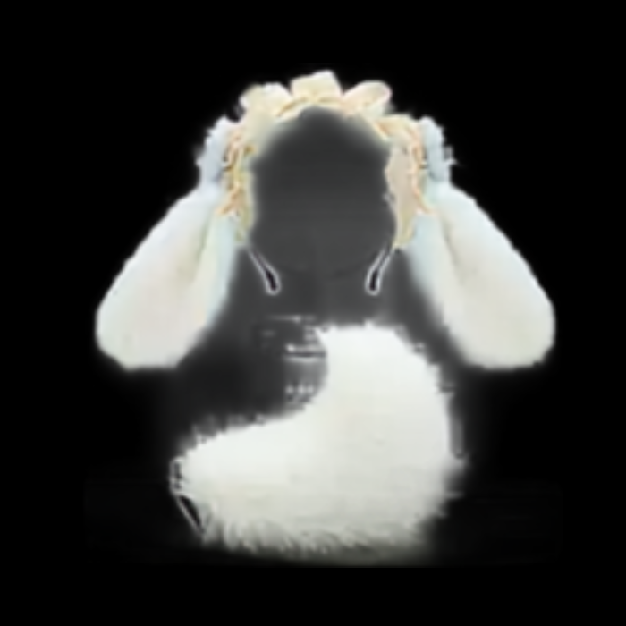 Pastel Lop Bunny Ears & Tail Bundle thumbnail 1