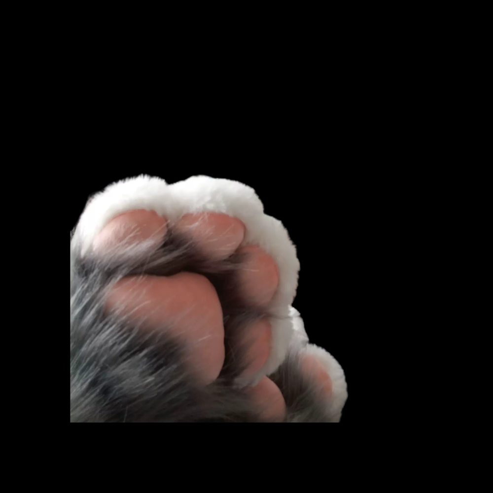 Plush Cat Paw Fursuit Gloves thumbnail 5