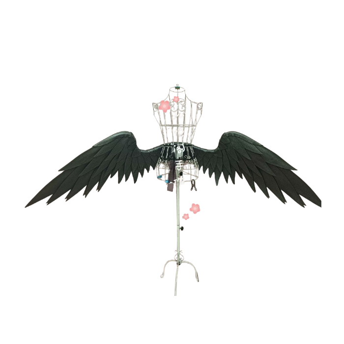 Raven Shadow Wing Set thumbnail 1