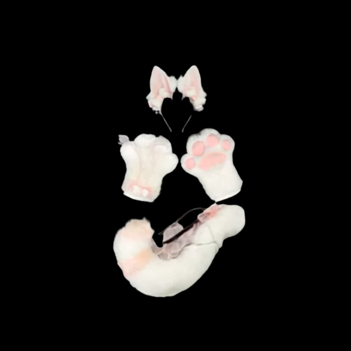 Sweet Fox Deluxe Accessory Bundle thumbnail 4